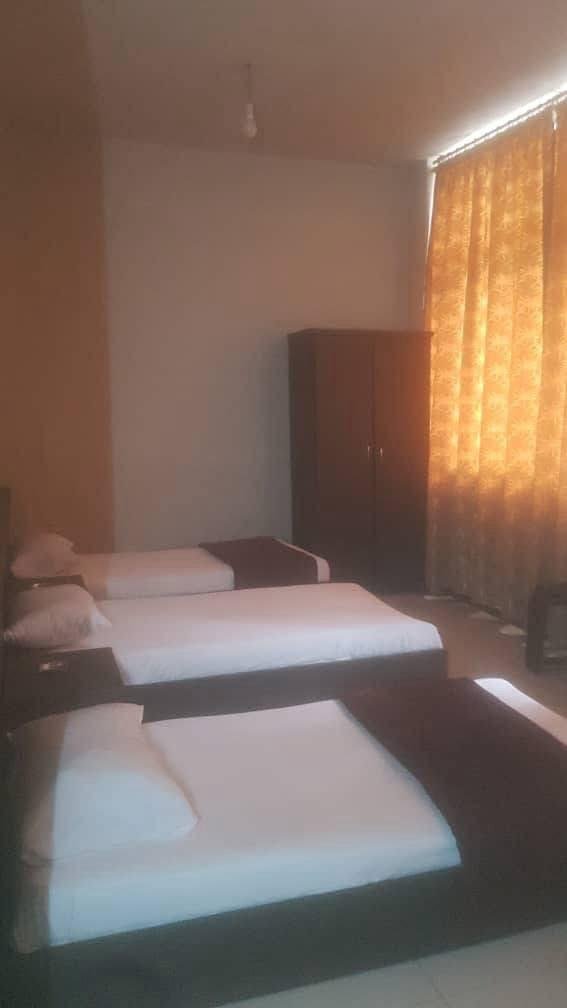 Tripe Room - 1