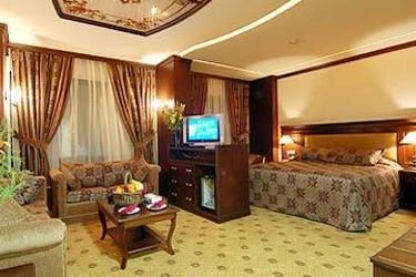 Executive Suite - 1
