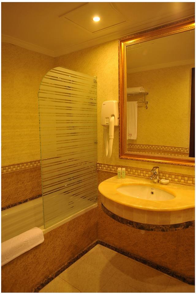 Aleppo Palace Hotel - More photos background